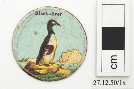 Black-diver playing card (Horniman Museum & Gardens)