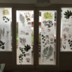 Garden windows bring to mind giant microscope slides