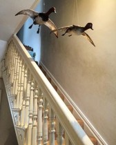 Flying taxidermy in the stairwell of the museum in a house